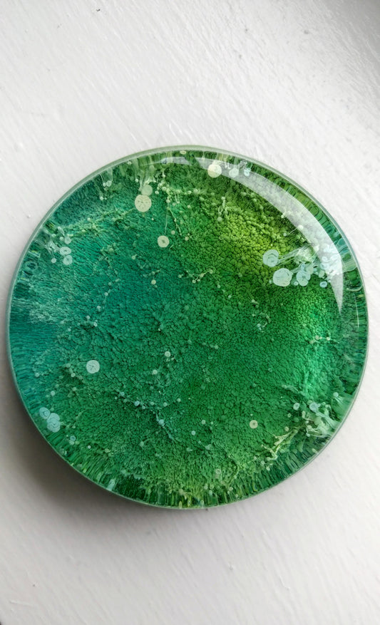 Petri Alcohol Ink Resin Decorative Kitchen Magnet