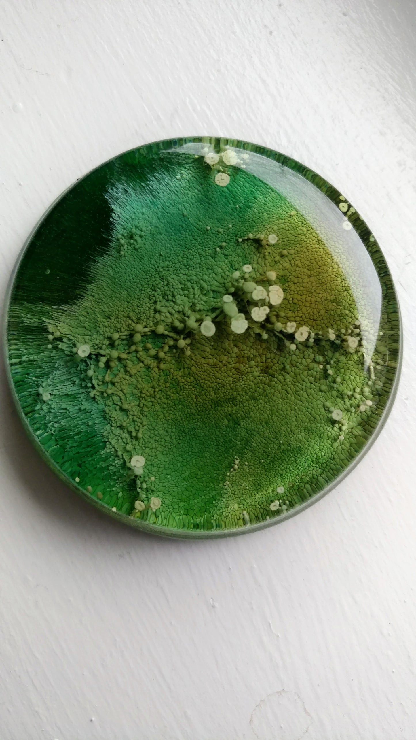 Petri Alcohol Ink Resin Decorative Kitchen Magnet